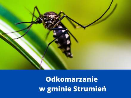 Odkomarzanie w gminie Strumień